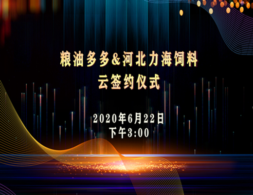 粮油多多与河北力海饲料战略合作签约仪式通过国联云在线签约