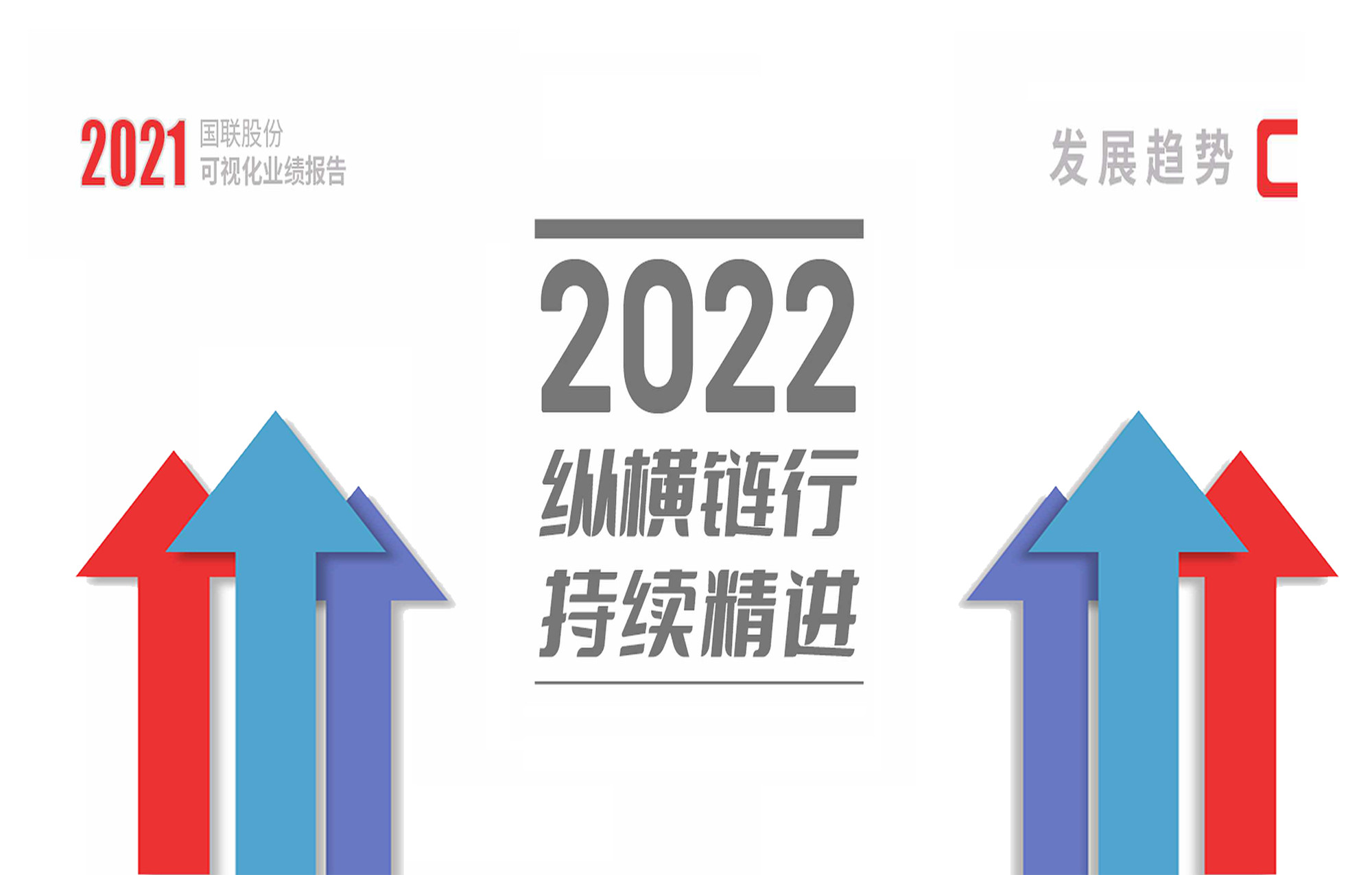 2021国联股份可视化业绩报告